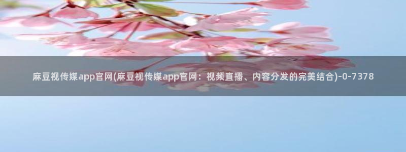 麻豆视频 入口合集