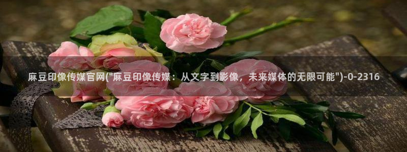 麻豆视频完整版合集：麻豆印像传媒官网(\