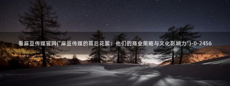 麻豆视频完整版在线看：看麻豆传媒官网(\