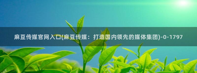 麻豆合集最新：麻豆传媒官网入口(麻豆传媒：打造国内领先的媒体集团)