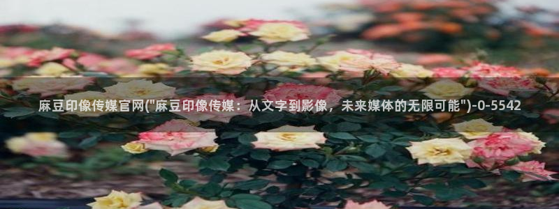 麻豆视频图集高清：麻豆印像传媒官网(\