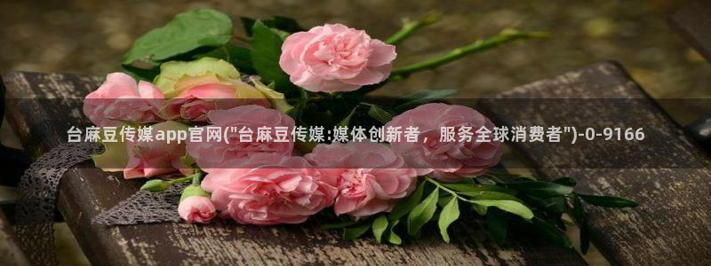 麻豆视频 内容合集：台麻豆传媒app官网(\