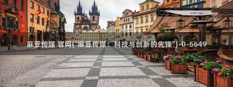 麻豆视频入口导航：麻豆传媒 官网(\