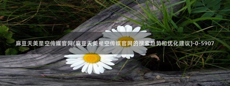 麻豆资源更新：麻豆天美星空传媒官网(麻豆天美星空