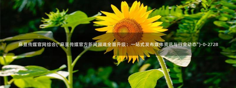 麻豆视频高清在线看：麻豆传媒官网综合(\