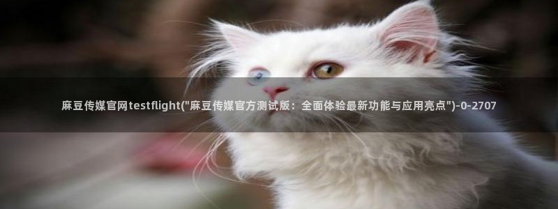 麻豆视频 下载完整版：麻豆传媒官网testfligh