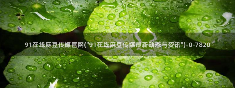 麻豆视频短片资源：91在线麻豆传媒官网(\