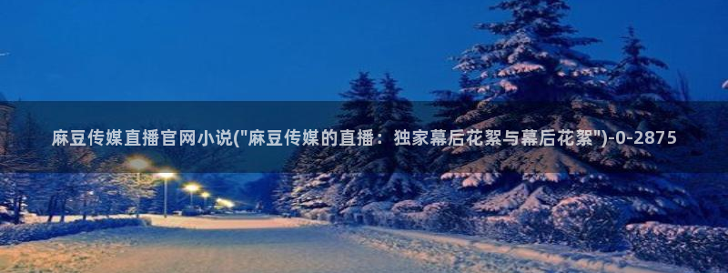 麻豆视频内容页面：麻豆传媒直播官网小说(\