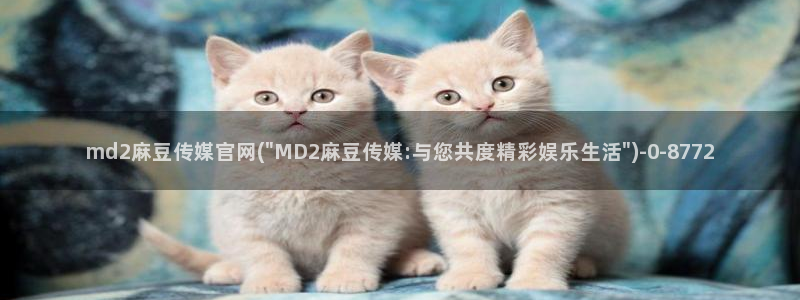 麻豆视频完整版完整版：md2麻豆传媒官网(\