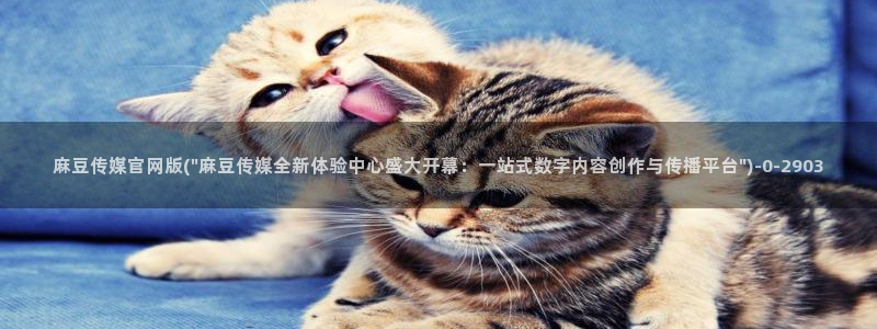 麻豆视频 精选下载：麻豆传媒官网版(\