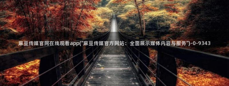 麻豆视频合集完整版：麻豆传媒官网在线观看app(\