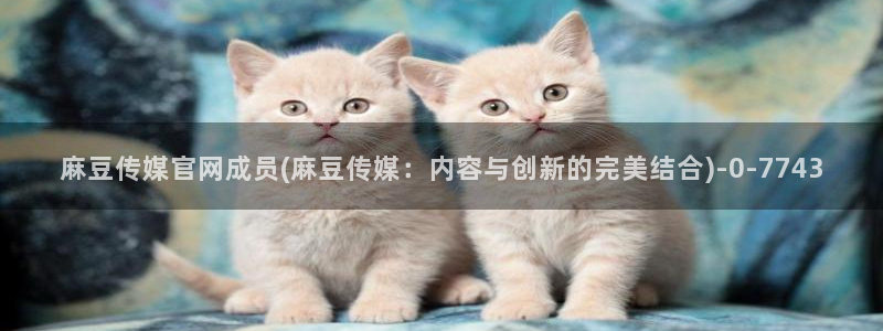 麻豆视频更新合集：麻豆传媒官网成员(麻豆传媒：内容与创新的完美结合)