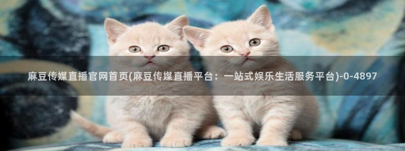 麻豆视频 在线看合集：麻豆传媒直播官网首页(麻豆传媒直播平台：一站式娱乐生活服务平台)