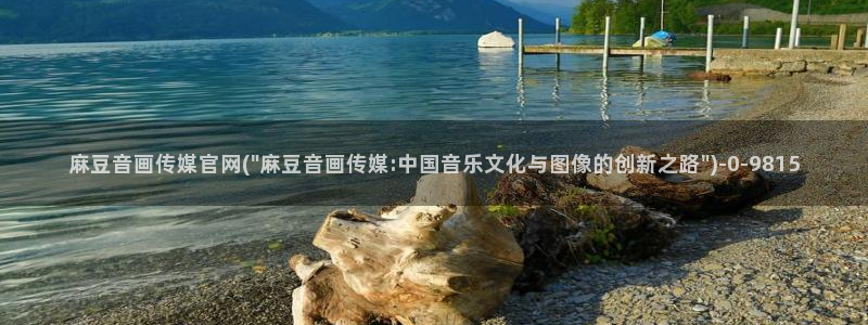 麻豆视频下载整理：麻豆音画传媒官网(\