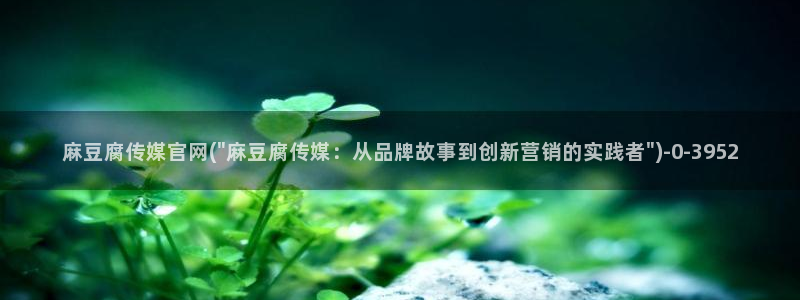 麻豆资源更新：麻豆腐传媒官网(\