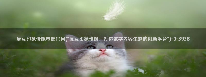 麻豆 完整版资源：麻豆印象传媒电影官网(\